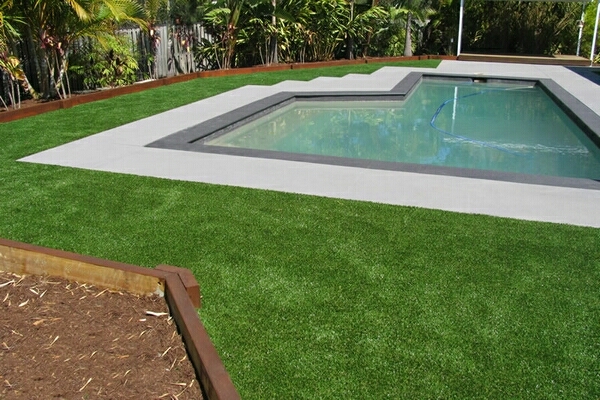 Everlawn - Gallery
