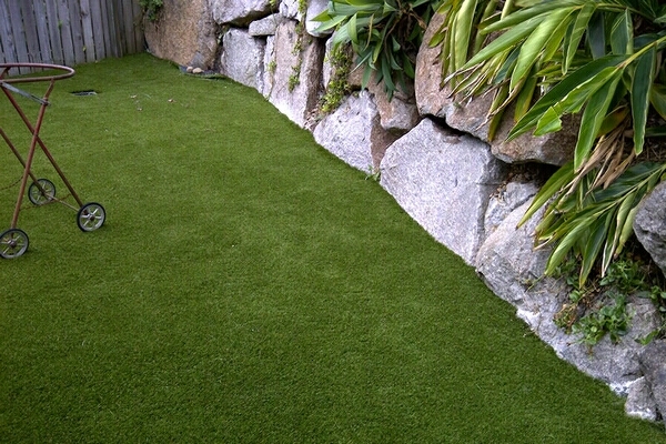 Everlawn - Gallery