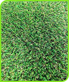 COASTAL TURF