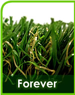 Everlawn - Forever