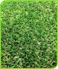 FOREVER TURF