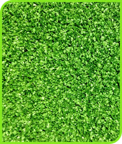 LEISURE TURF 20
