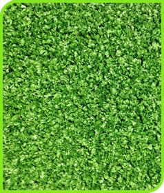 PRO PUTT 20