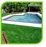 Everlawn - New Product Release