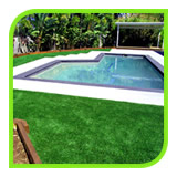 Everlawn - New Product Release